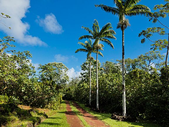 5th image of 14-3945 Government Beach Rd