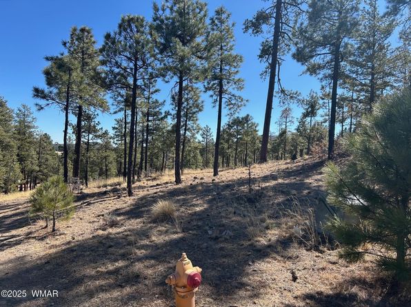 10 County Road 2193, Alpine, AZ 85920