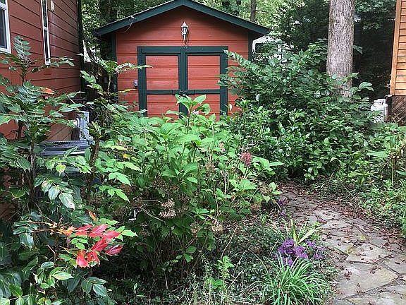 Flagstone Walk to Shed