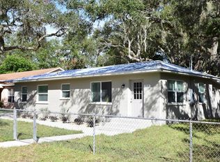 919 Pine Ave, Mount Dora, FL 32757