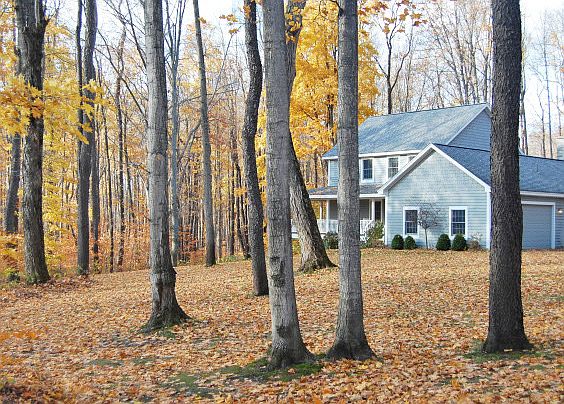 3rd image of 6080 W Woods Dr