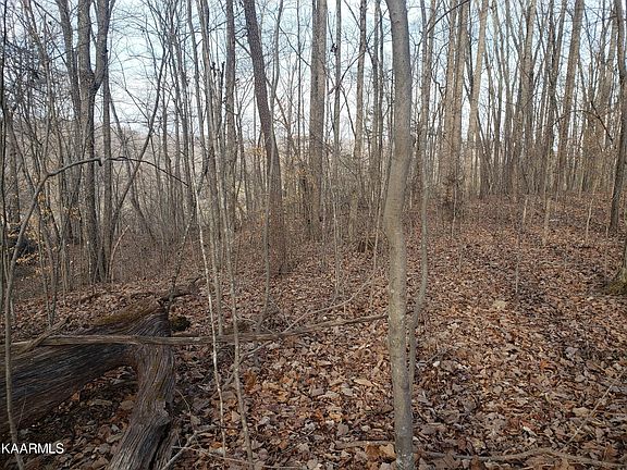 4th image of 0 Walker Rd