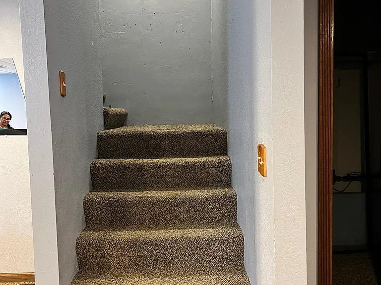 Basement steps