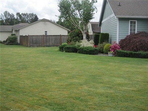 2nd image of 14111 143rd Avenue Ct E