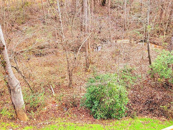 5th image of 55 Leafmore Ct Lot 14