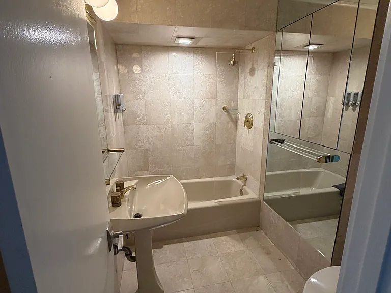 Lower level's bathroom