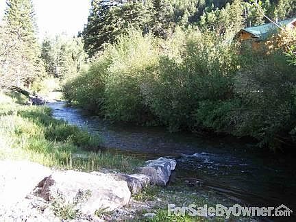 Backyard View : Backyard view looking at Red River upstream - great trout fishing!