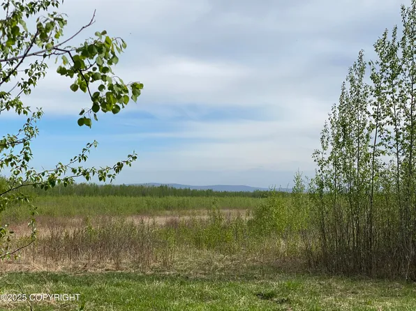 Township Road S1 Barley Way, Delta Junction, AK 99737