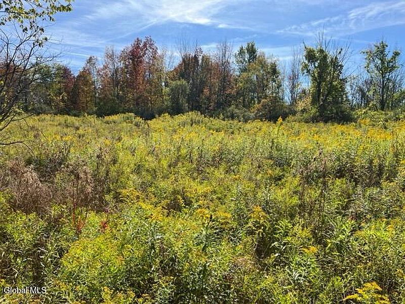 2nd image of L27 Duanesburg Road
