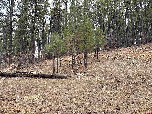 3rd image of 421 Forest Lakes Drive
