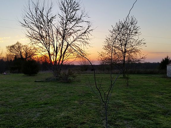 Many new trees, looking west
