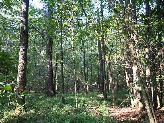2nd image of 0 Whigham Rd