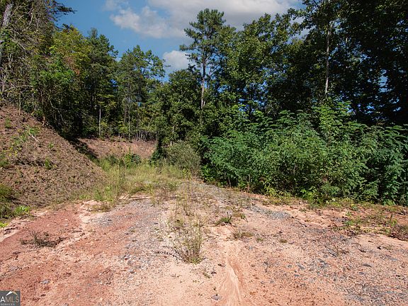 5th image of 0 Upper Sawyers Creek Rd