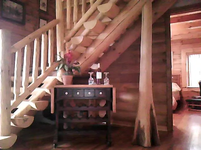 743 Flatlander Dr — Photo 3
