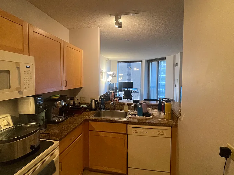 222 N Columbus Dr #2907 — Photo 4