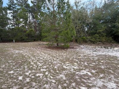101 Quail Acre Rd, Pomona Park, FL, 32181