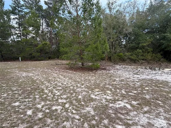 101 Quail Acre Rd, Pomona Park, FL 32181