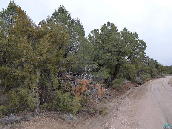 2nd image of 5 Gods Acre Rd