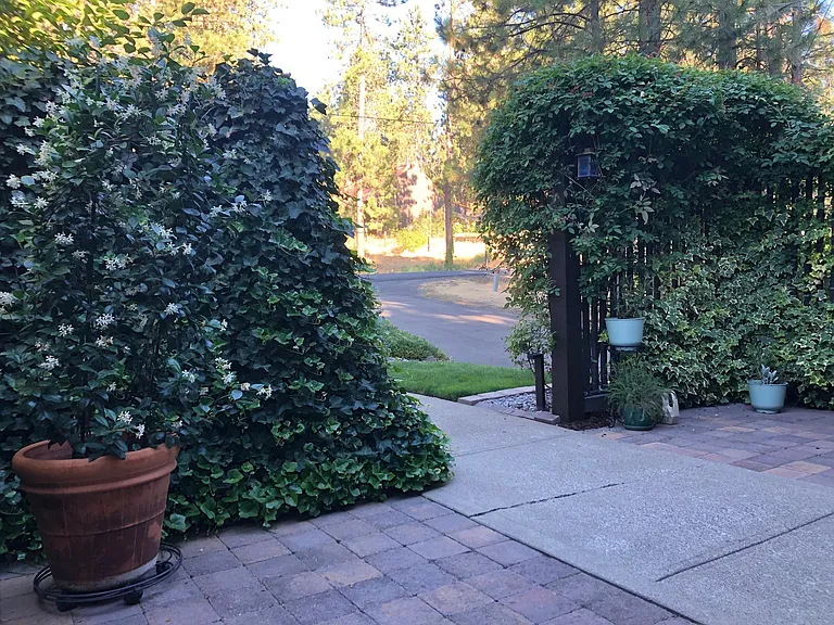 7223 S Cedar Rd — Photo 7