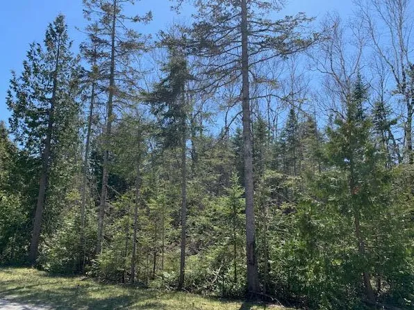 Lots 39&40 Misty Morn Ct, Presque Isle, MI 49777