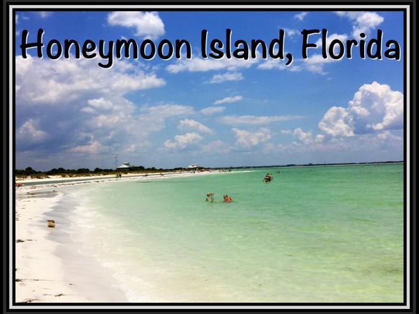 2700 Bayshore Blvd APT 589, Dunedin, FL 34698