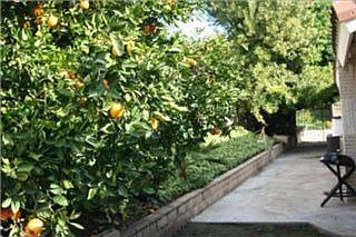 3rd image of 665 Tuolumne Dr