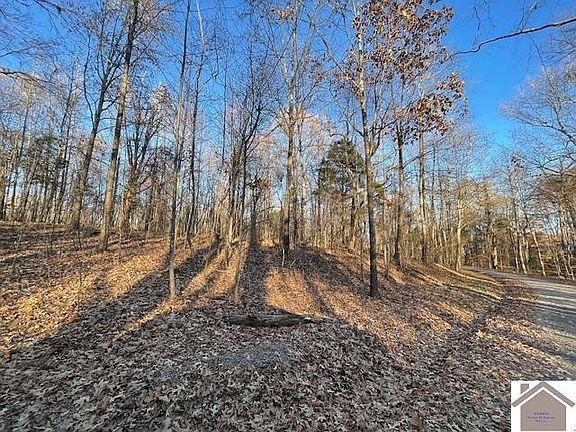 5th image of 8-10 Twelve Pines Circle 10x #8X-9X-12X