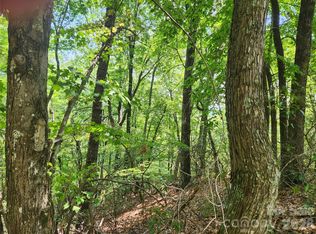 117-118 & #132, Lake Lure, NC 28746