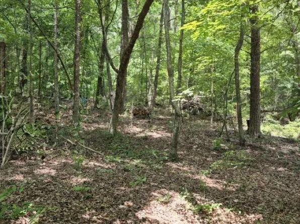2 Cherokee County Rd #275, Fort Payne, AL 35967