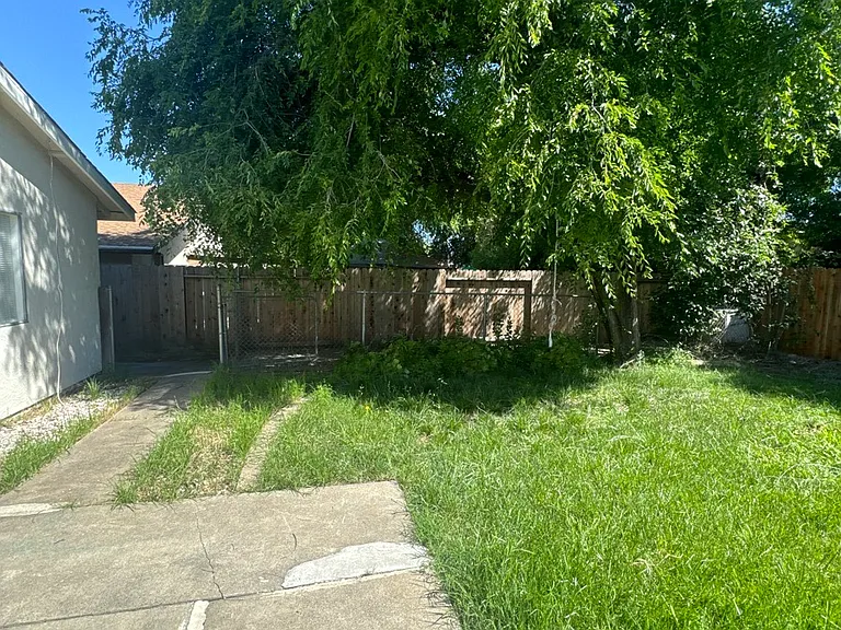 dog run_05062026