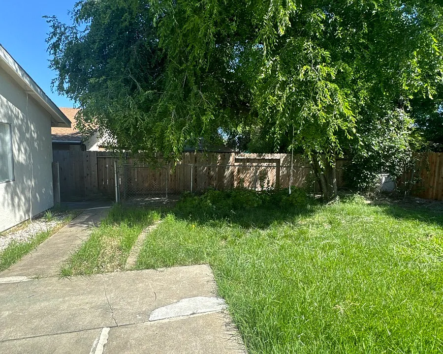 dog run_05062026