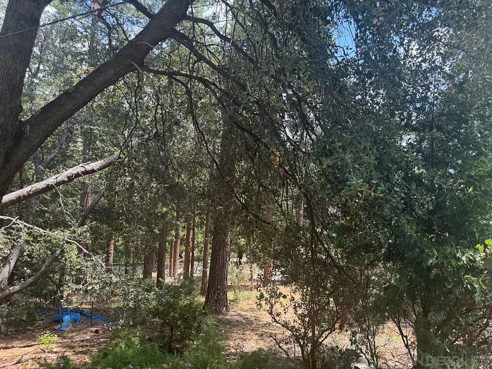 1st image of 0 Big Pine St #0