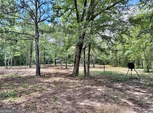 1 Us Highway 80 W, Roberta, GA 31078