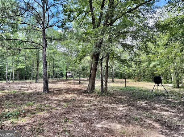 1 Us Highway 80 W, Roberta, GA 31078