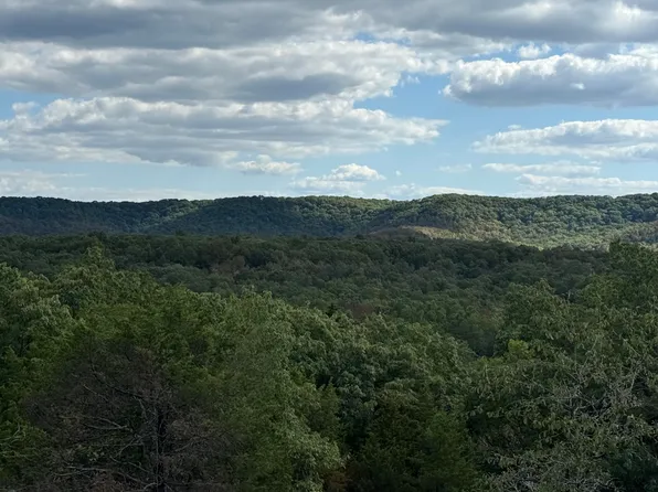 000 Mannon Road, Ava, MO 65608