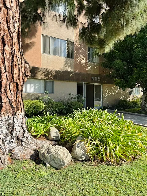 1 bed, $1,650 — Photo 1