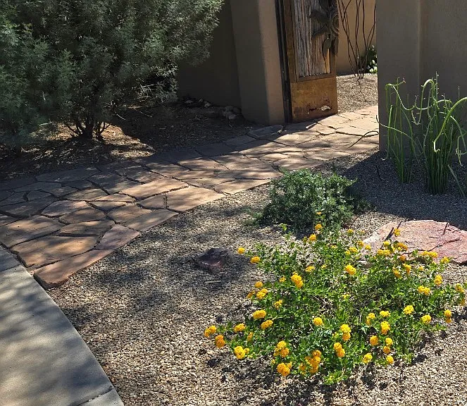 1382 E English Ivy Ct — Photo 21