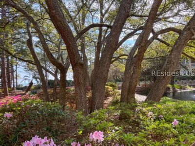 239 Beach City Road UNIT 1124, Hilton Head Island, SC, 29926