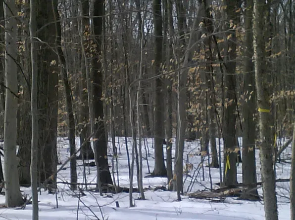 Suffield Street, Suffield, CT 06078