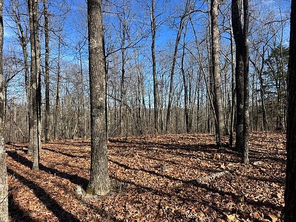 4th image of 0 Plumlee Rd