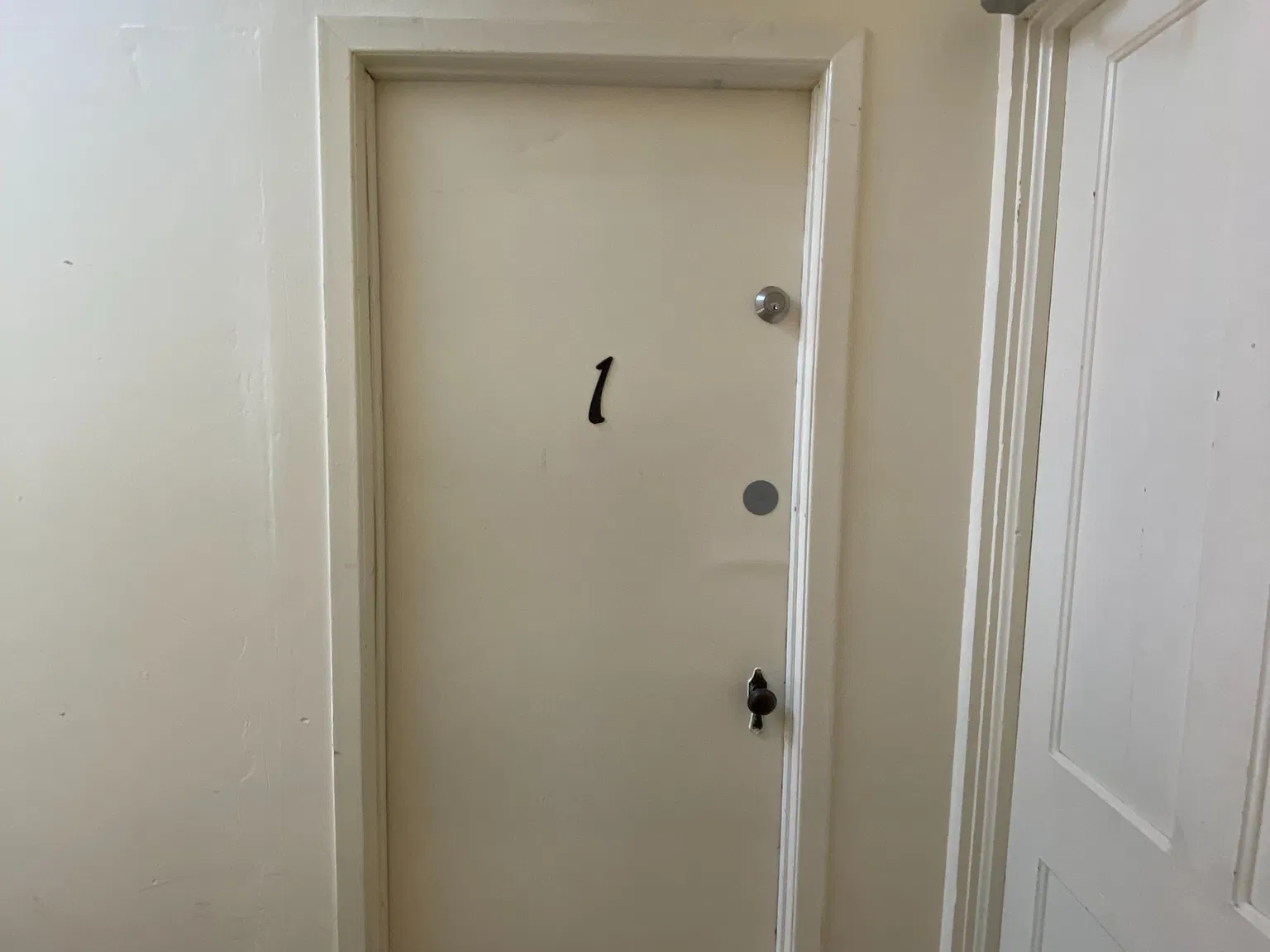 1 bed, $1,300 — Photo 3