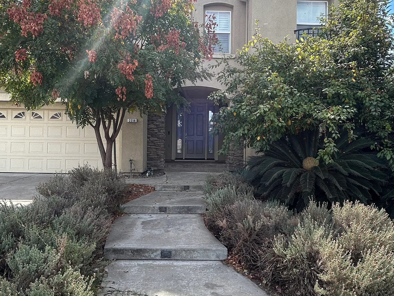 2256 Plumeria Pl — Photo 2