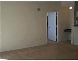 5th image of 6413 Astor Village Ave APT 313