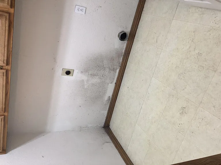 111 Fox Run Pl #B — Photo 148