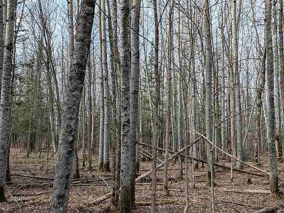 5th image of LOT 5 Lund Rd
