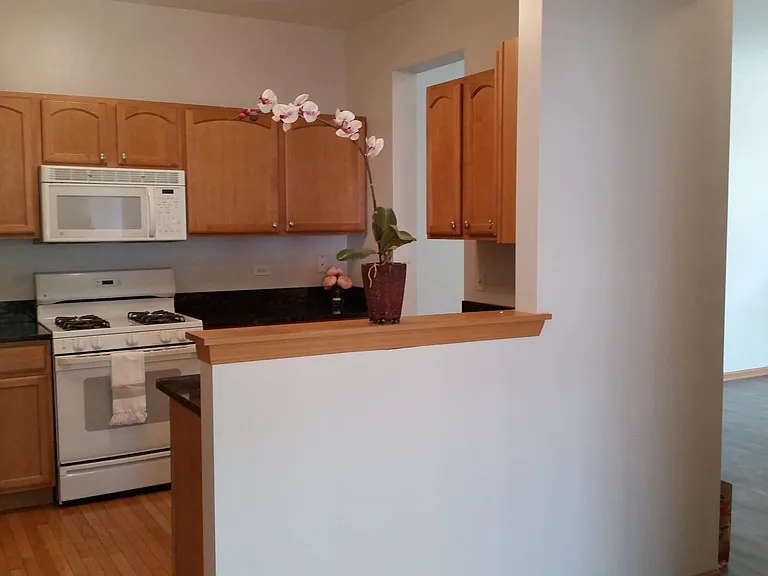 11S495 Rachael Ct — Photo 14