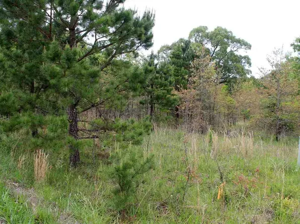 25 Farmers Cir, Mountain Home, AR 72653