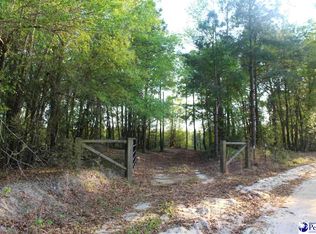 14.5 Acre Hwy #41, Marion, SC 29571