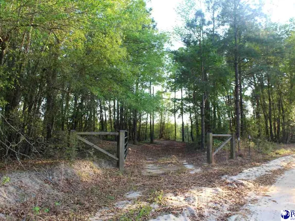 14.5 Acre Hwy #41, Marion, SC 29571