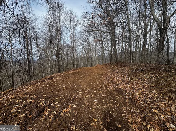 Burnt Leaf Ln, Hayesville, NC 28904